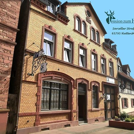 Hotel-Pension Zum Hirsch Hattersheim am Main Exterior foto